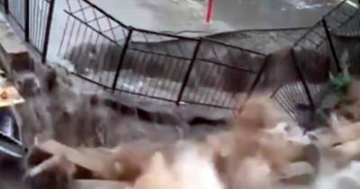 Стена с забором рухнули из-за сильного ливня в Перми
