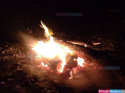 Крупный лесной пожар потушили в Ростовской области 4 июля
