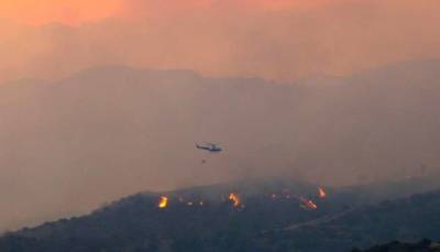 На Кипре обнаружили первых жертв лесных пожаров