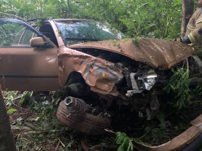 В Тверской области водитель госпитализирован после столкновения машины с деревом