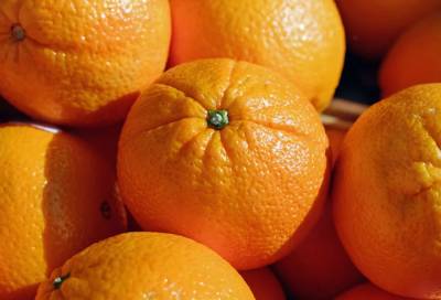 В Петербург не пустили 50 тонн апельсинов с личинками насекомых