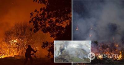 На Кипре вспыхнули масштабные лесные пожары, страна попросила о помощи. Фото и видео