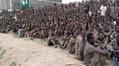Повстанцы взяли в плен 7 тысяч эфиопских солдат