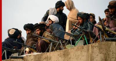 Скотт Миллер - Хаос и надежда в Афганистане: удастся ли талибам захватить страну? - profile.ru - Афганистан - Талибан