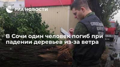 В Сочи один человек погиб, двое пострадали при падении деревьев из-за ветра