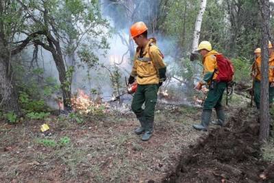 В Якутии борются с 91 лесным пожаром