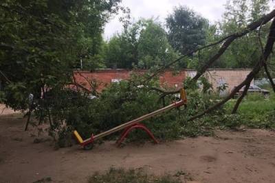 В Иванове дерево упало на одну из игровых площадок - чудом не пострадали дети