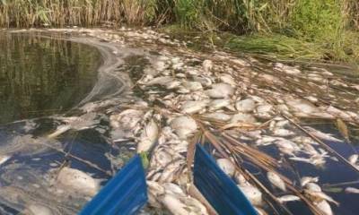 Причиной катастрофы в воронежской реке Токай могло стать отсутствие воздуха