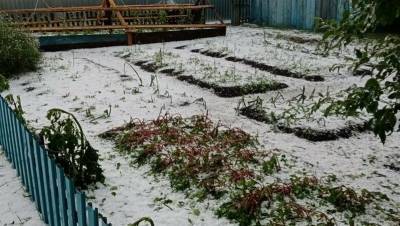 В Башкирии огороды сельчан пострадали от сильного града