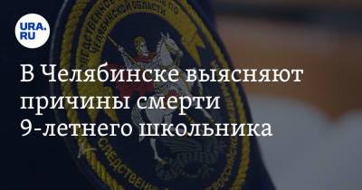 В Челябинске выясняют причины смерти 9-летнего школьника