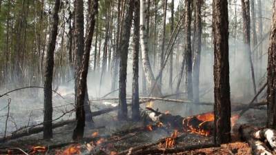 В Якутии отсутствие дождей привело к усилению природных пожаров