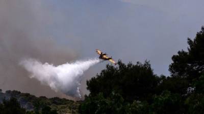Жертвами пожара в горном районе Кипра стали четыре человека