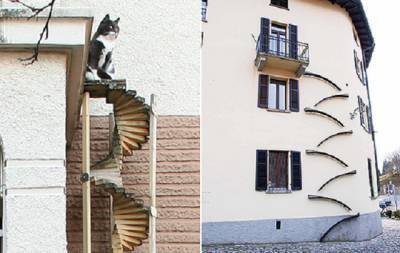 Свободу Барсикам и Муркам! Зачем в Швейцарии на стенах зданий устанавливают маленькие лестницы?