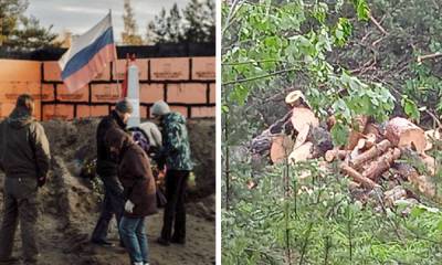 Петрозаводчане заметили новые вырубки деревьев в «Каменном бору»