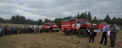 В Ростовской области из-за удара молнии вспыхнул лесной пожар