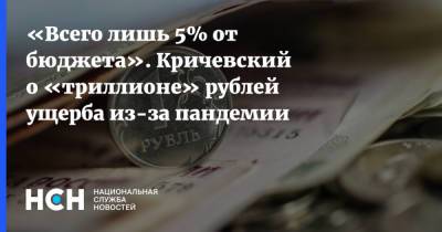 «Всего лишь 5% от бюджета». Кричевский о «триллионе» рублей ущерба из-за пандемии