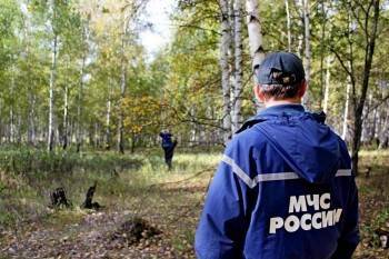 На поиски пропавших в лесу вологжан отправили спасателей и полицейских