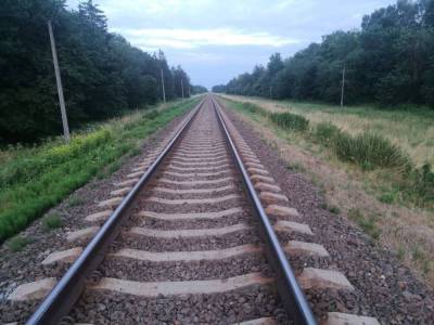 Под Гродно поездом смертельно травмирована девушка