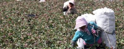 Узбекистан впервые попал в список стран, борющихся с принуждением к труду