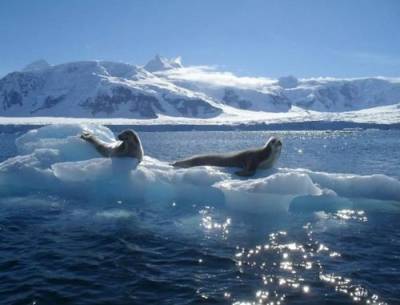 Южный океан теплеет и это ведет к стремительному таянию ледников