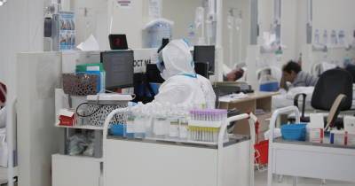 В России за сутки выявлено 24 353 новых случая коронавируса
