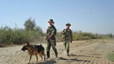 Россия и ОДКБ помогут Таджикистану обеспечить безопасность на границе