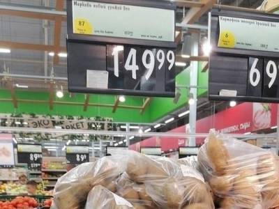Стоимость свежей моркови в Новосибирске выросла до 150 рублей