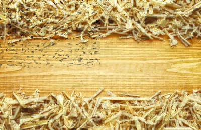 ЕС планирует ужесточить правила отнесения древесины к биомассе