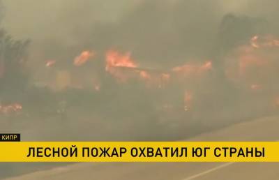 Страшный лесной пожар бушует на Кипре: жертвами стали четыре человека