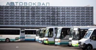 Без остановок по городу: как в Калининградской с 10 июля области будут ходить автобусы до приморских городов