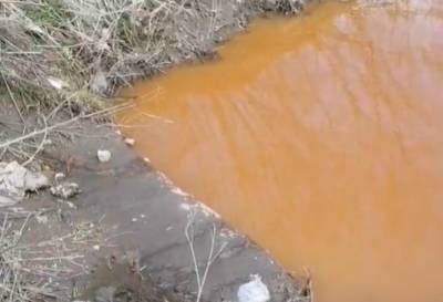 Чкаловский завод в Новосибирске считают виновным в загрязнении реки Каменка