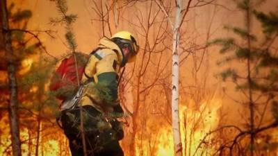 В Троицко-Печорском районе локализован лесной пожар
