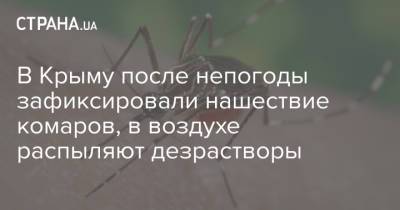 В Крыму после непогоды зафиксировали нашествие комаров, в воздухе распыляют дезрастворы