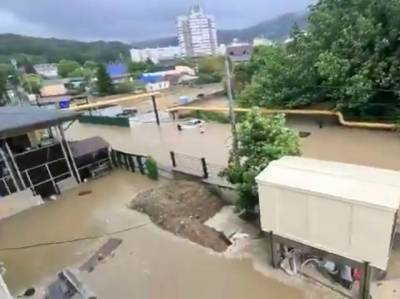 Появилось видео затопления российского Сочи: машины под водой, люди плавают по улицам (ФОТО. ВИДЕО)