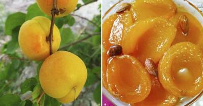 Грузинская хозяйка варит абрикосовое варенье целыми дольками, для аромата можно класть ядрышки в банки