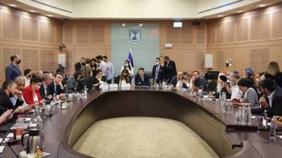 Коалиция проиграла первое голосование по закону о гражданстве в комиссии кнессета
