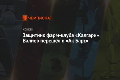 Экс-защитник системы «Калгари» Валиев перешёл в «Ак Барс»