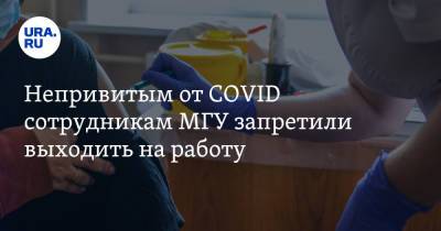 Непривитым от COVID сотрудникам МГУ запретили выходить на работу