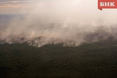 В Коми – два действующих лесных пожара