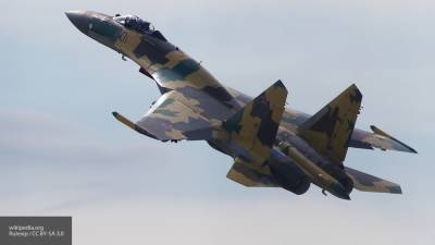 Египет проигнорировал угрозы США ввести санкции из-за российских Су-35