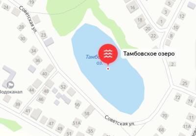 В Воронежской области вновь ищут подрядчика для благоустройства «Перламутрового озера»
