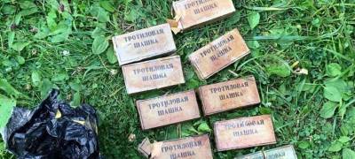 Тротиловые шашки нашли возле спорткомплекса в Петрозаводске