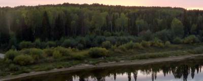 13-летний мальчик утонул в реке Вага в Архангельской области