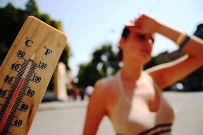 В Украине будет жара до +35 градусов: климатолог дала "горячий" прогноз на июль