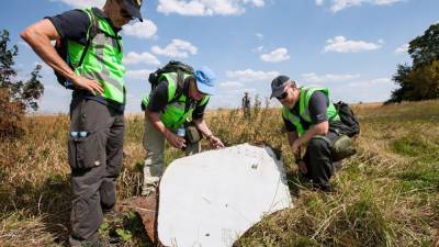 В Нидерландах установили гражданство пропавших без вести пассажиров MH17