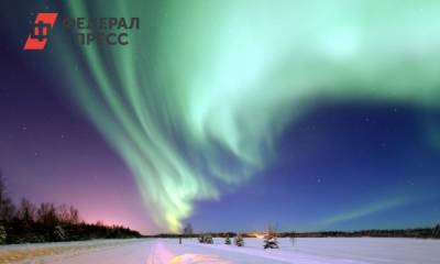 В России презентовали экологический проект «Чистая Арктика»