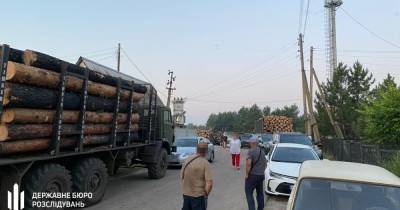 Топ-чиновники организовали схему по продаже "сгоревшей" древесины в Луганской области, - ГБР (фото, видео)