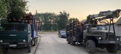 В Луганской области лесники наживались на пожарах