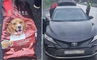 Полиция остановила автомобиль с 22 кг «соли» в пакетах собачьего корма