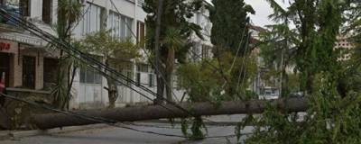 Президент Абхазии Аслан Бжания оценил убытки от урагана в десятки миллионов рублей